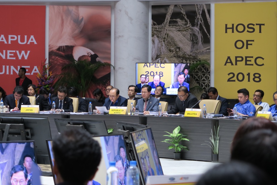 제30차 APEC 외교.통상합동각료회의시 외교부 경제외교조정관 발언사진