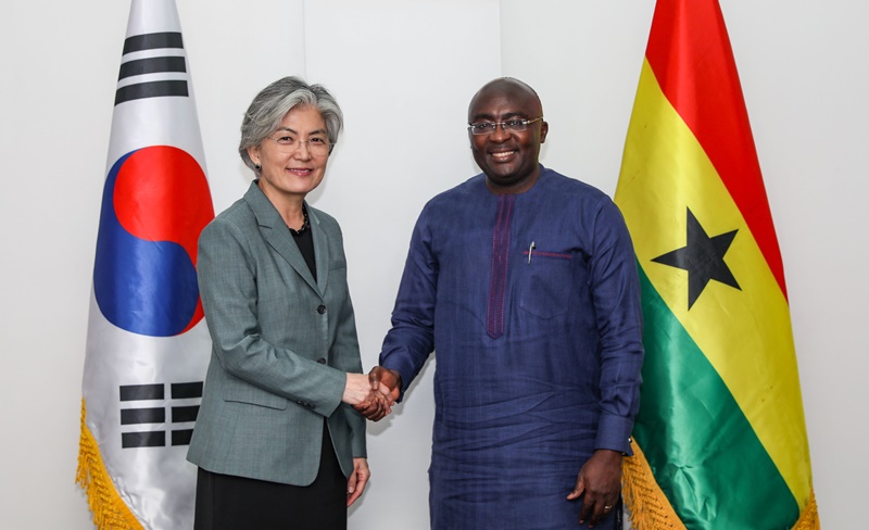 Courtesy Call on Vice President of Ghana by Minister of Foreign Affairs 