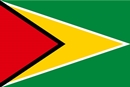 가이아나공화국 국기