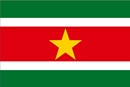 수리남공화국 국기