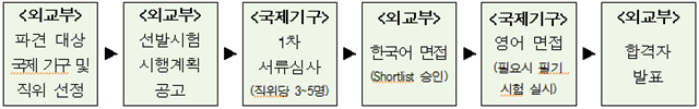 국제기구 초급전문가(Junior Professional Officer, JPO)