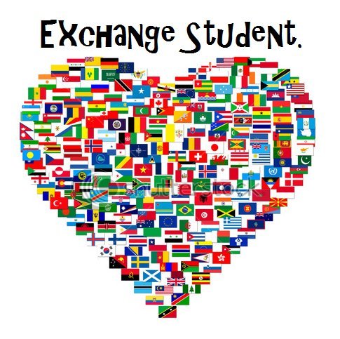 Uitwisselingsstudent / Etudiant(e) en éhcange / Exchange students (Visa D-2-6)