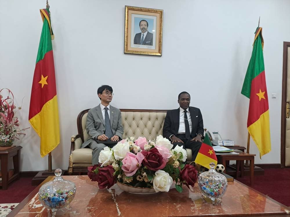Meeting with the Cameroonian Minister of Defense
