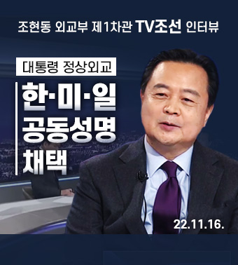 조현동 1차관, TV조선 인터뷰