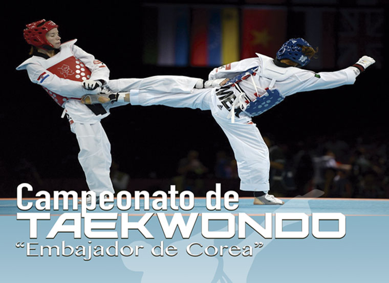 Sports diplomacy and promoting Taekwondo